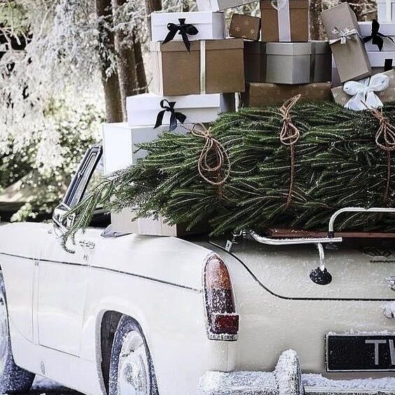 Here is wishing you all my lovelies a merry Christmas🎄💫🤍
.
.
.
.
.
#christmas2023 #love